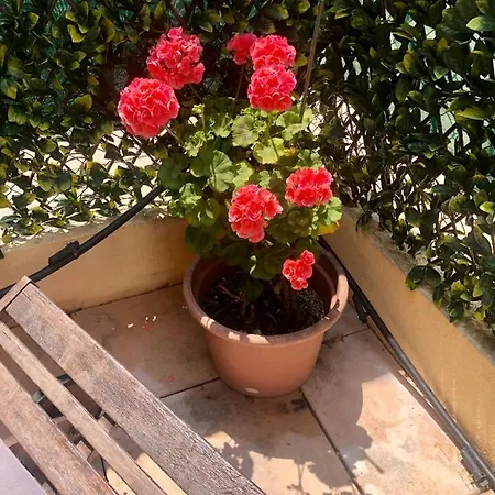 Mon Avec Terrasse Et Piscine Roquebrune-Cap-Martin