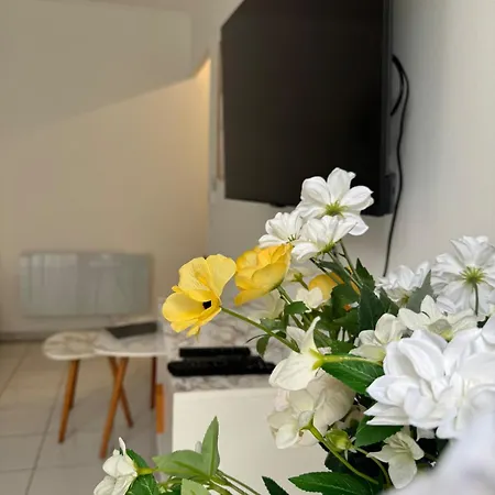 Mon Avec Terrasse Et Piscine Roquebrune-Cap-Martin